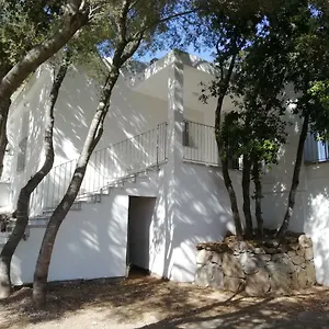 https://in-campagna-da-nino.in-sardinia.net